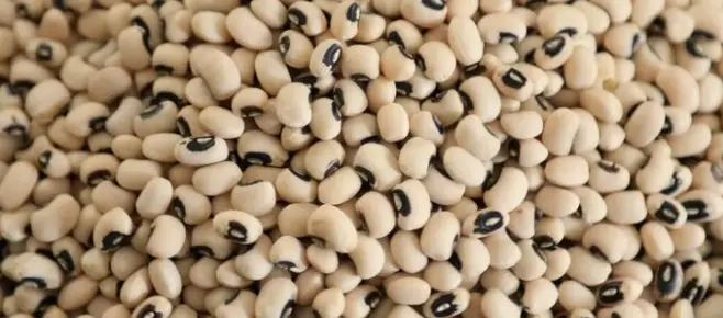 White Beans with Black Spots